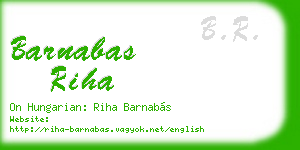 barnabas riha business card
